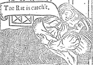 Mousetrap smock crop