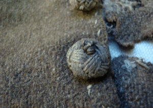 Screen Shot 2013-02-01 at 08.56.08