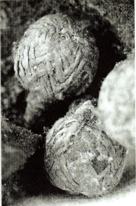 Screen Shot 2013-02-01 at 09.14.38