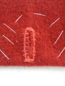 11227603_10204794072267219_1810317602006314445_n