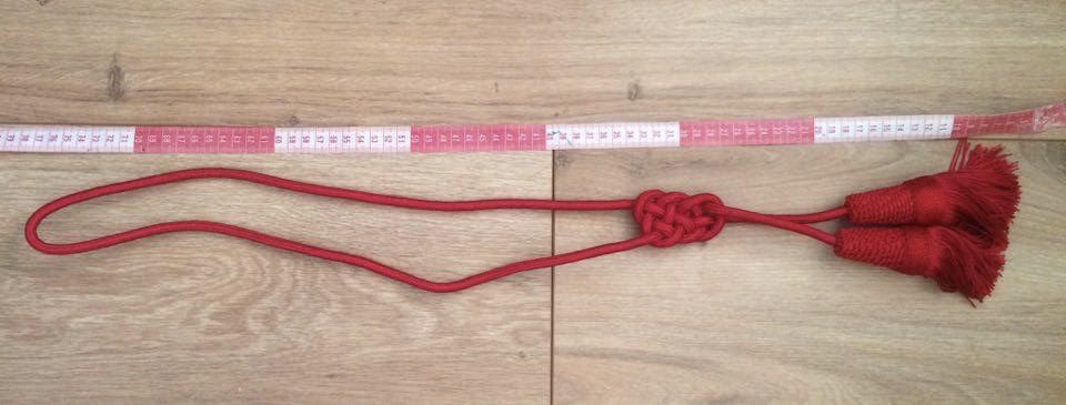 14580589_10207724313481418_471828412_n