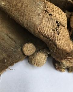 35682358_10212144377060245_5848561536531955712_n